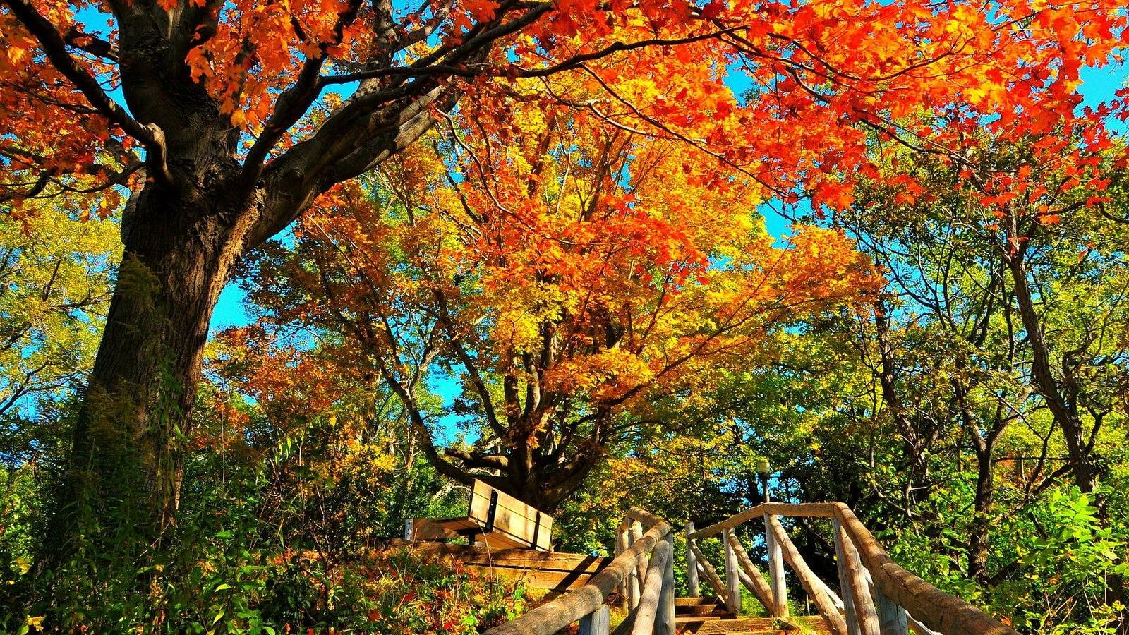 Goderich Guesthouse — autumn cottage among maples near Lake Huron